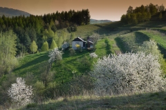 Oslava 60. narodenin Jozefa Lietavu