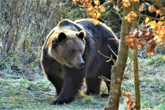 7.Obdivovany-a-zatracovany